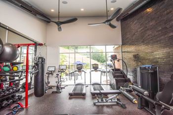 A gym with a variety of equipment including a punching bag, treadmills, and weights.